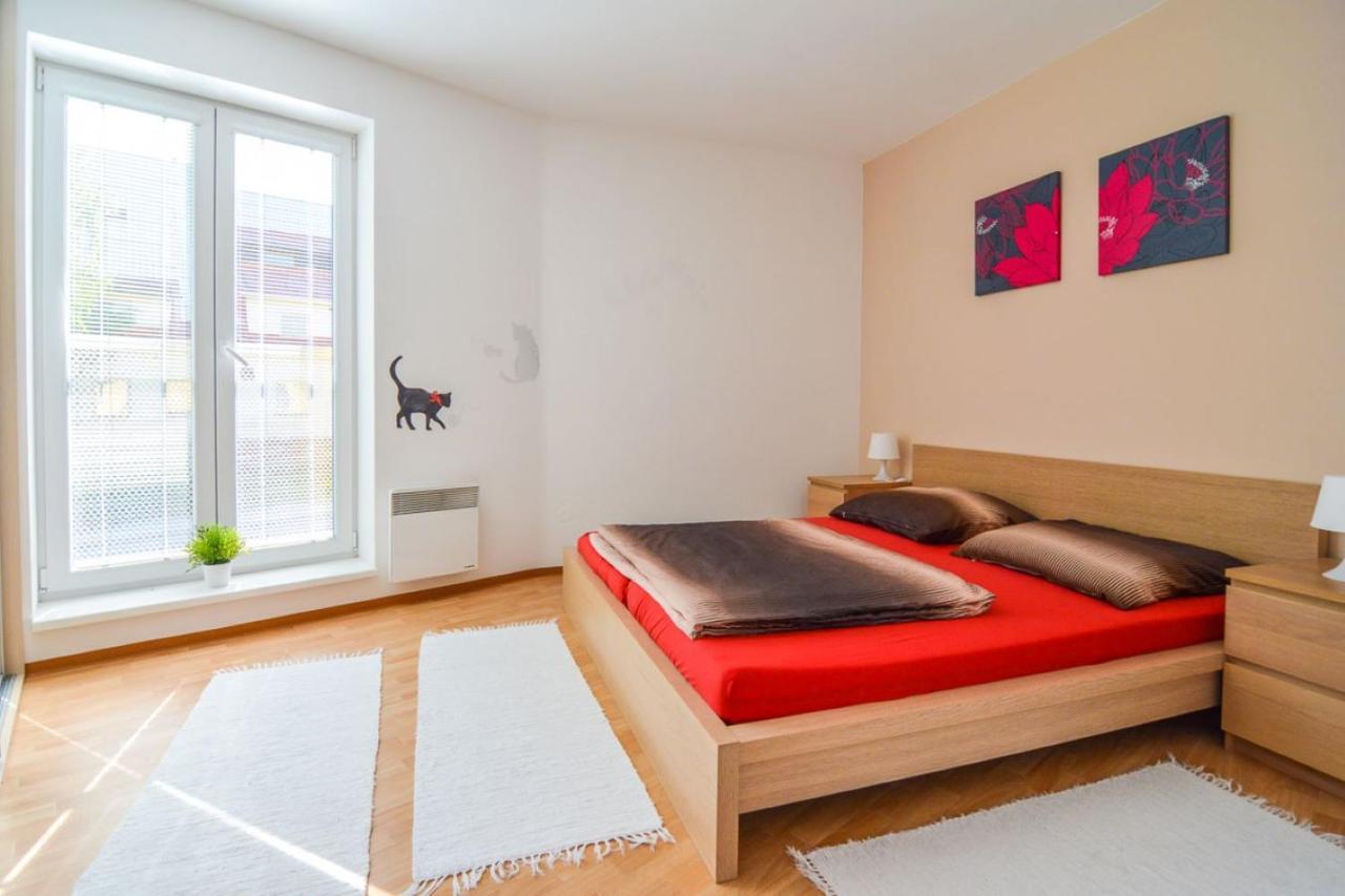 Apartman U Kostela Destne v Orlickych horach Buitenkant foto