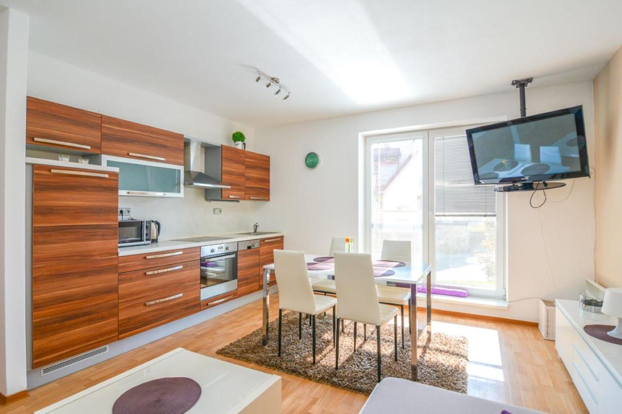 Apartman U Kostela Destne v Orlickych horach Buitenkant foto